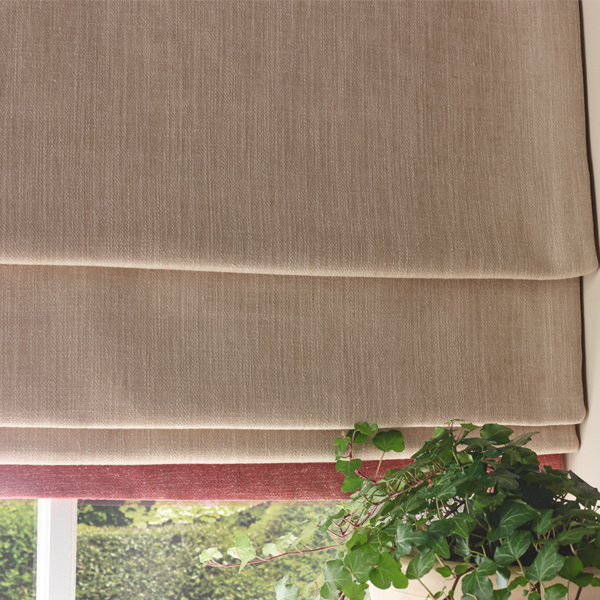 roman blind and plant